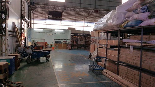立美建材 專業(yè)運(yùn)動館木地板生產(chǎn)商，品質(zhì)保障與高清展示